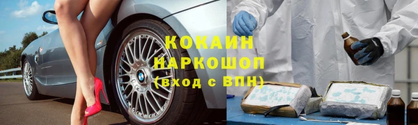 гашик Гусь-Хрустальный