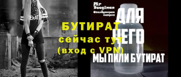 индика Горняк