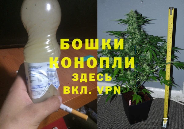 гашик Гусь-Хрустальный