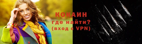 гашик Гусь-Хрустальный