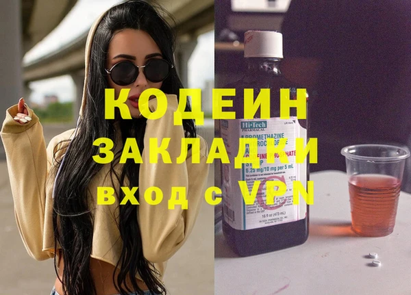 гашик Гусь-Хрустальный