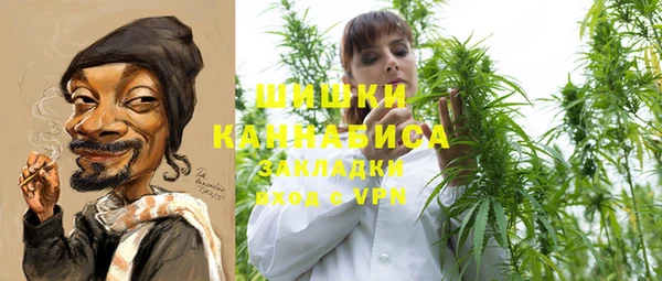 гашик Гусь-Хрустальный
