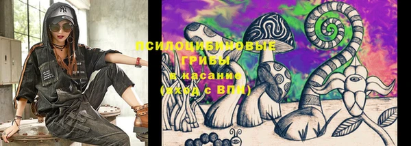 винт Гусиноозёрск