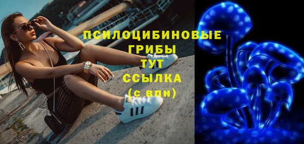 apvp Гусев