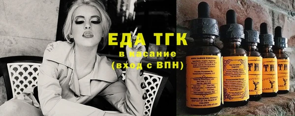 гашик Гусь-Хрустальный