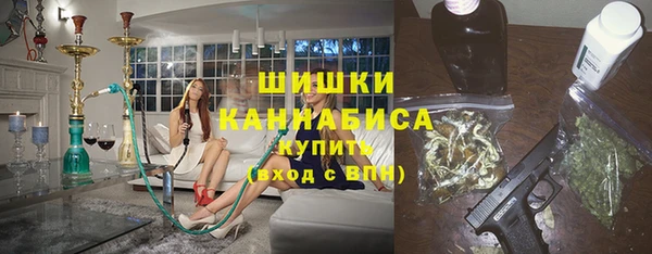 гашик Гусь-Хрустальный