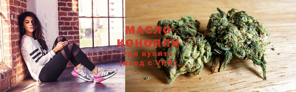 гашик Гусь-Хрустальный