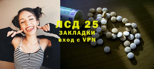 apvp Гусев