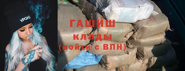 apvp Гусев