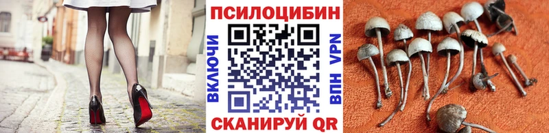 Галлюциногенные грибы мухоморы  мориарти состав  Дудинка  гидра ТОР 