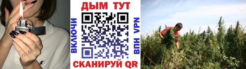 Бошки Шишки план  нарко площадка как зайти  Дудинка 